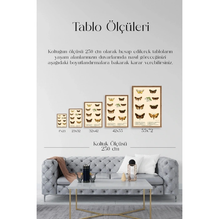 Kelebekler Ahşap Çerçeveli Tablo 50 x 70