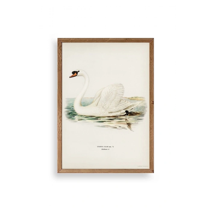 Kuğu Ahşap Çerçeveli Tablo 30 x 42