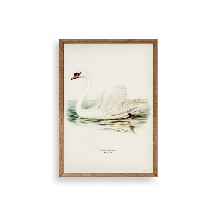 Kuğu Ahşap Çerçeveli Tablo 30 x 42