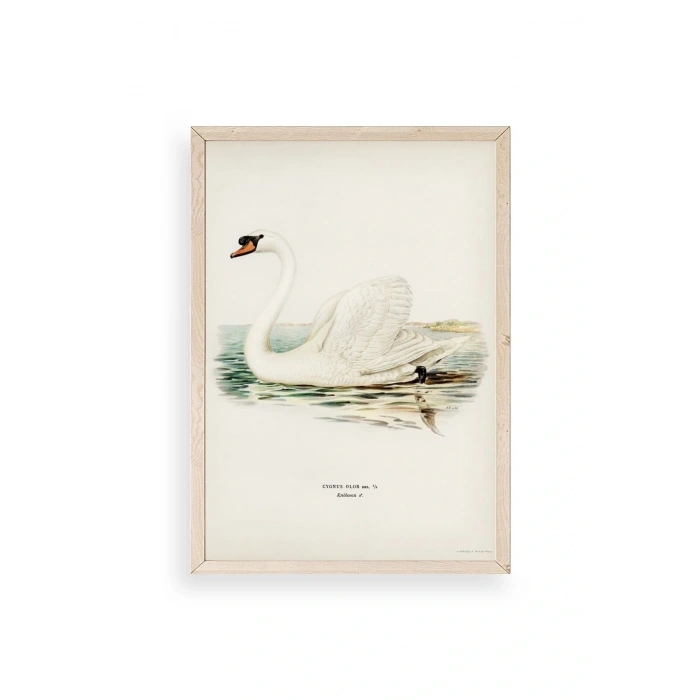 Kuğu Ahşap Çerçeveli Tablo 30 x 42