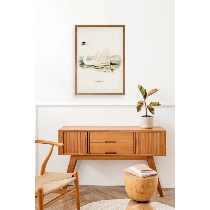 Kuğu Ahşap Çerçeveli Tablo 30 x 42