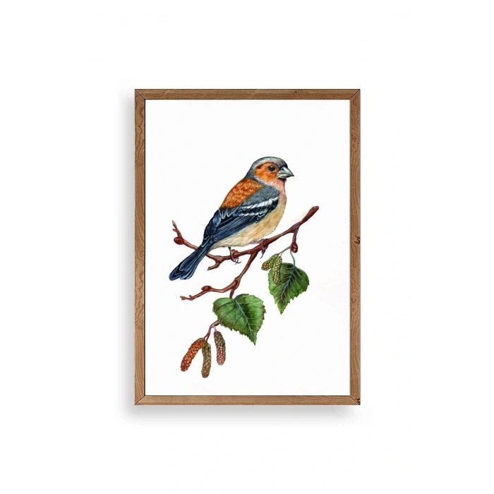 Kuş Ahşap Çerçeveli Tablo 17 x 23