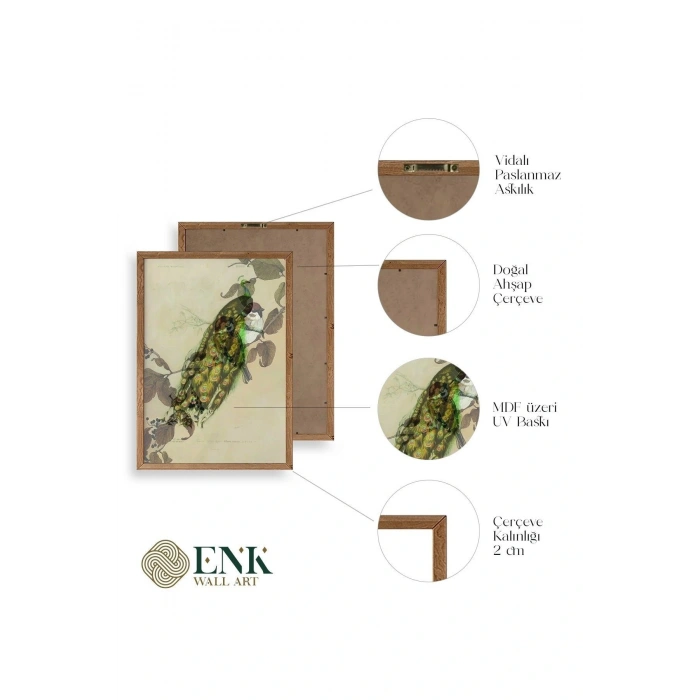 Kuş Ahşap Çerçeveli Tablo 17 x 23