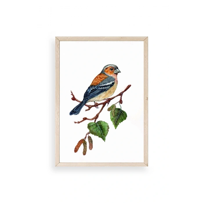 Kuş Ahşap Çerçeveli Tablo 23 x 30