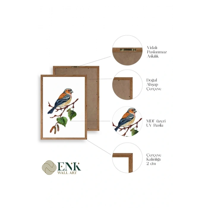 Kuş Ahşap Çerçeveli Tablo 30 x 42