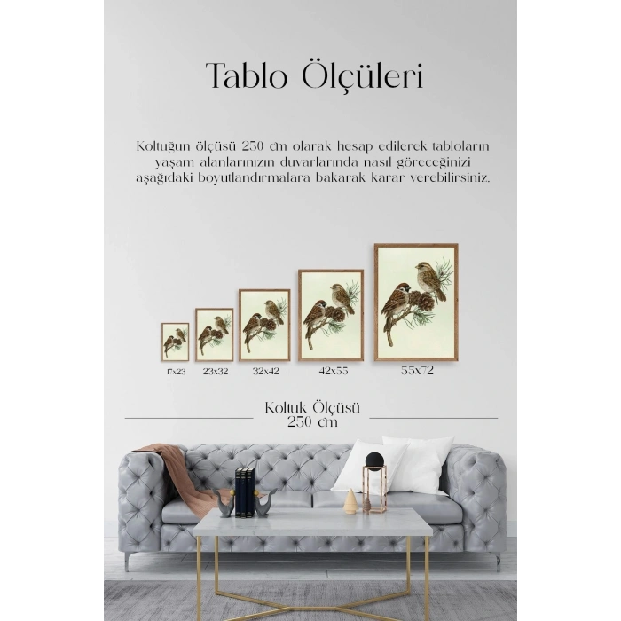 Kuş Ahşap Çerçeveli Tablo 30 x 42