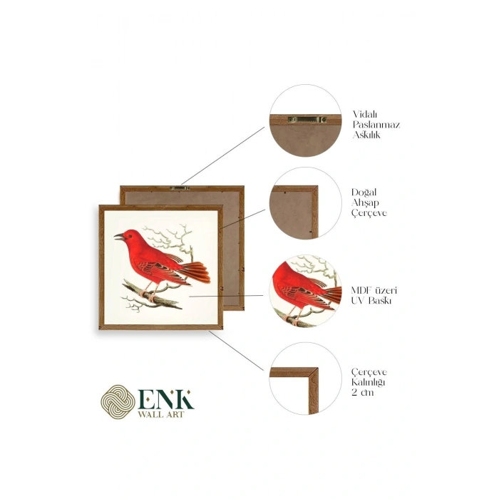 Kuş Ahşap Çerçeveli Tablo 42 x 42