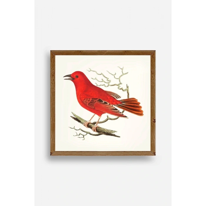 Kuş Ahşap Çerçeveli Tablo 50 x 50