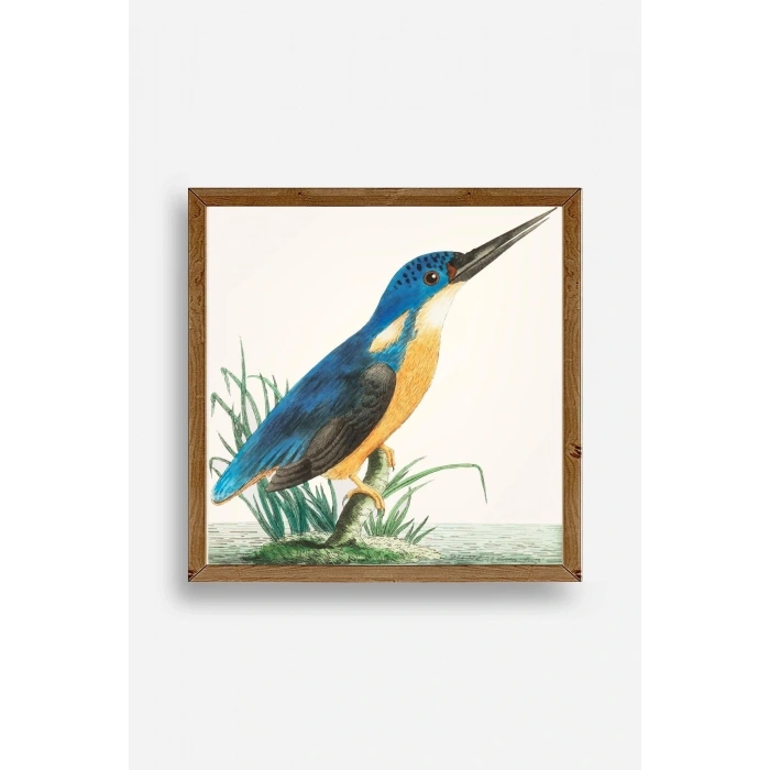Kuş Ahşap Çerçeveli Tablo 50 x 50
