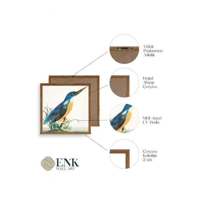 Kuş Ahşap Çerçeveli Tablo 50 x 50