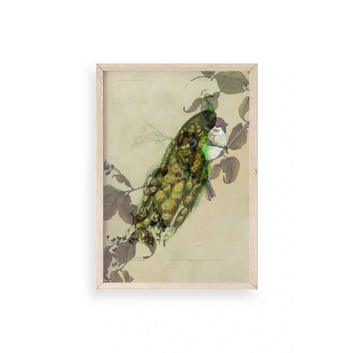 Kuş Ahşap Çerçeveli Tablo 50 x 70