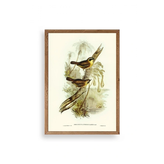 Kuşlar Ahşap Çerçeveli Tablo 17 x 23
