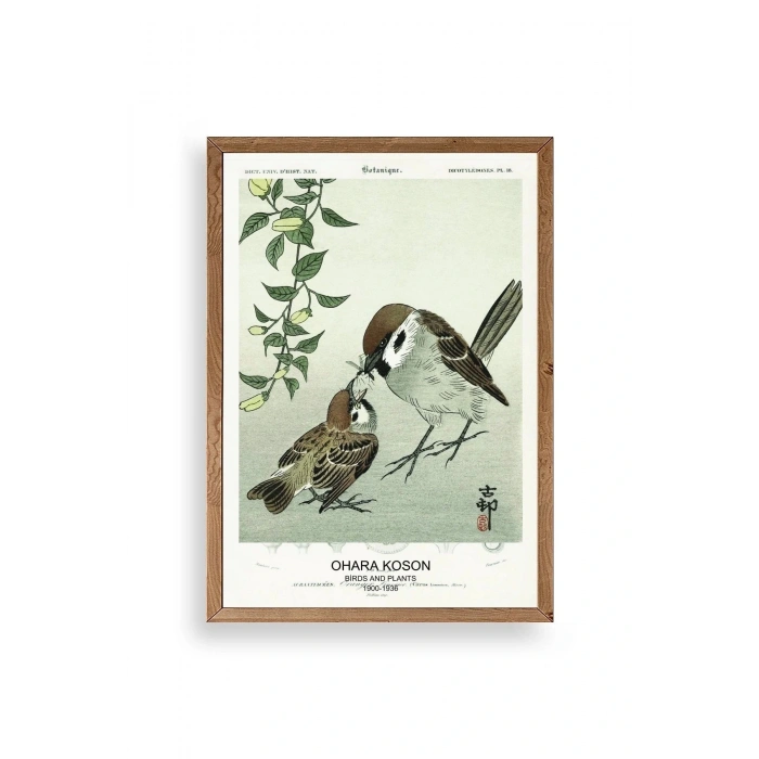 Kuşlar Ahşap Çerçeveli Tablo 17 x 23