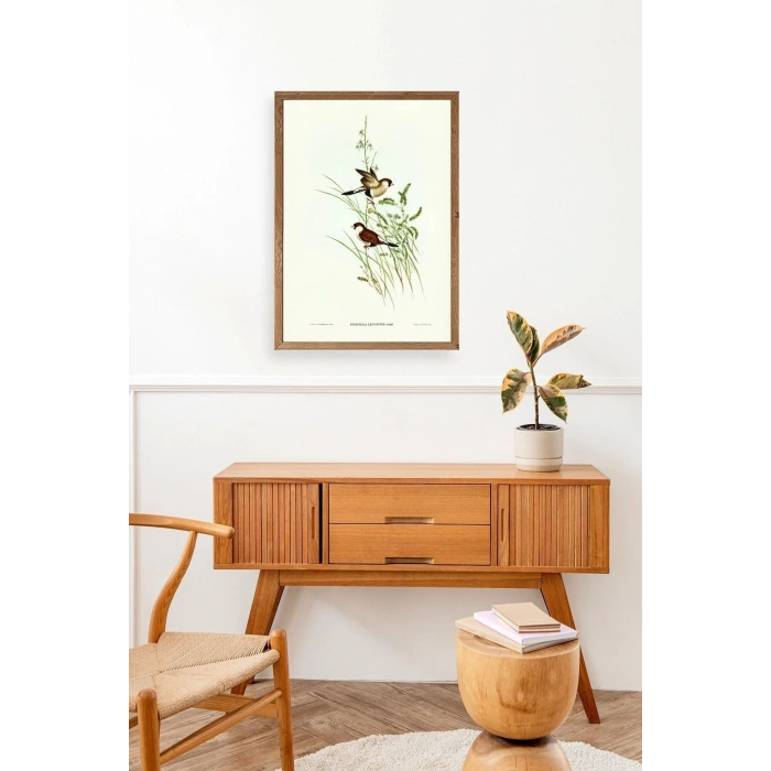 Kuşlar Ahşap Çerçeveli Tablo 23 x 30