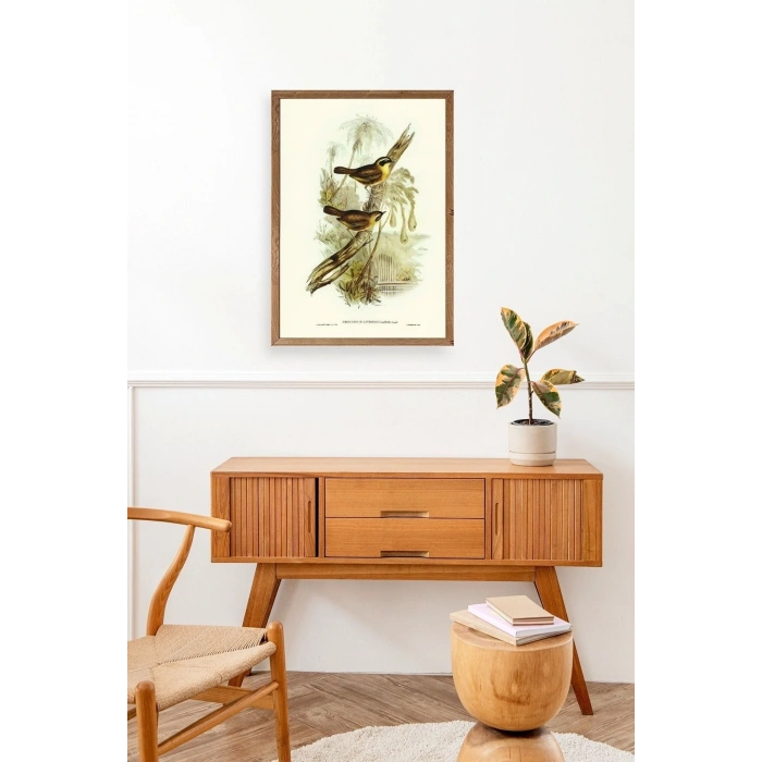 Kuşlar Ahşap Çerçeveli Tablo 23 x 30