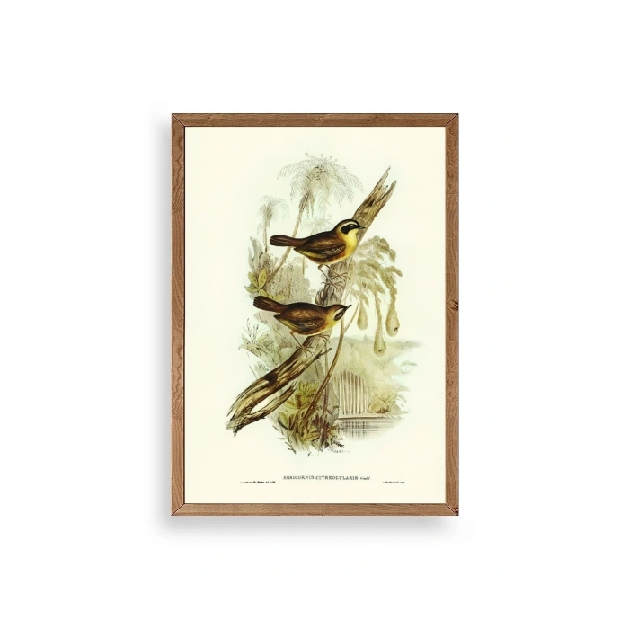 Kuşlar Ahşap Çerçeveli Tablo 30 x 42