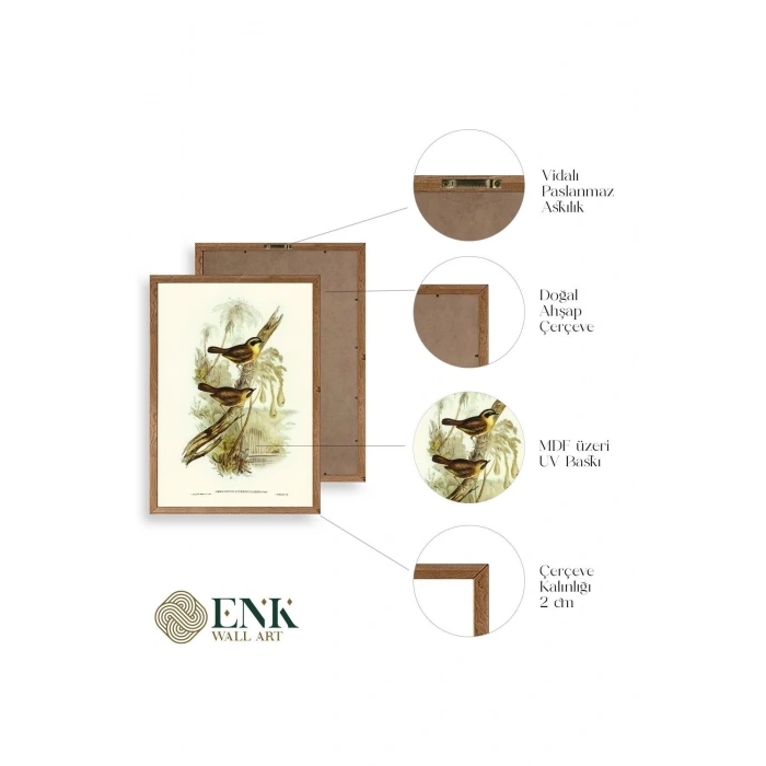 Kuşlar Ahşap Çerçeveli Tablo 30 x 42