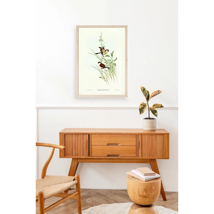 Kuşlar Ahşap Çerçeveli Tablo 50 x 70