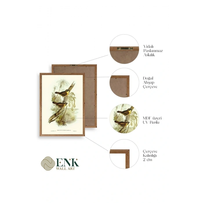 Kuşlar Ahşap Çerçeveli Tablo 50 x 70