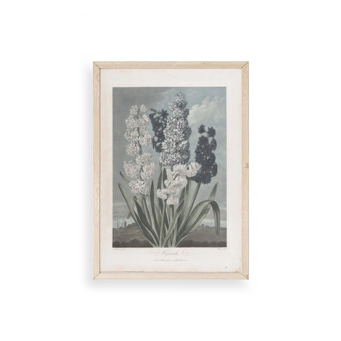 Legendarte Canvas Ahşap Çerçeveli Tablo 17 x 23