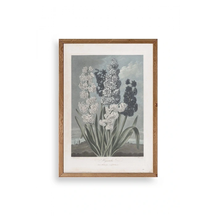 Legendarte Canvas Ahşap Çerçeveli Tablo 30 x 42