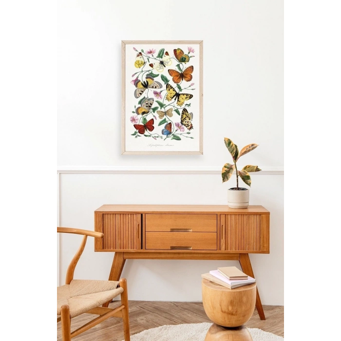 Lepidopteres Diurnes Ahşap Çerçeveli Tablo 17 x 23