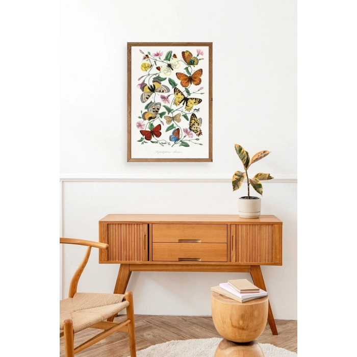 Lepidopteres Diurnes Ahşap Çerçeveli Tablo 30 x 42