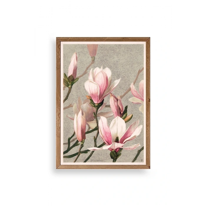 Magnolia Flowers Ahşap Çerçeveli Tablo 23 x 30
