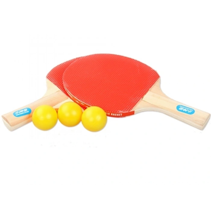 Masa Tenisi Seti (2 Raket + 3 Top) (5365)