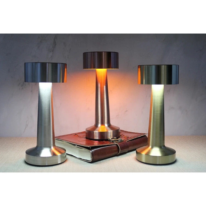 Настольная сенсорная светодиодная лампа модели 3