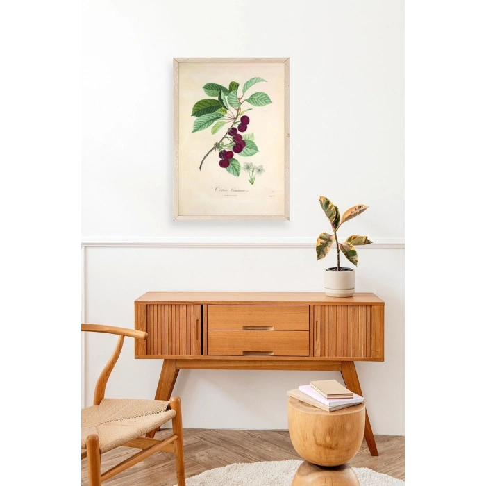 Meyveler Ahşap Çerçeveli Tablo 23 x 30