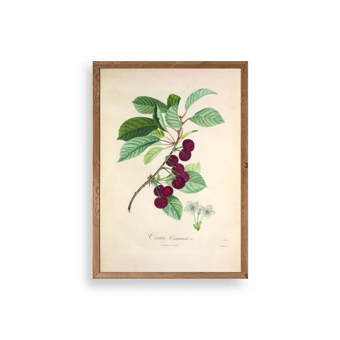 Meyveler Ahşap Çerçeveli Tablo 30 x 42