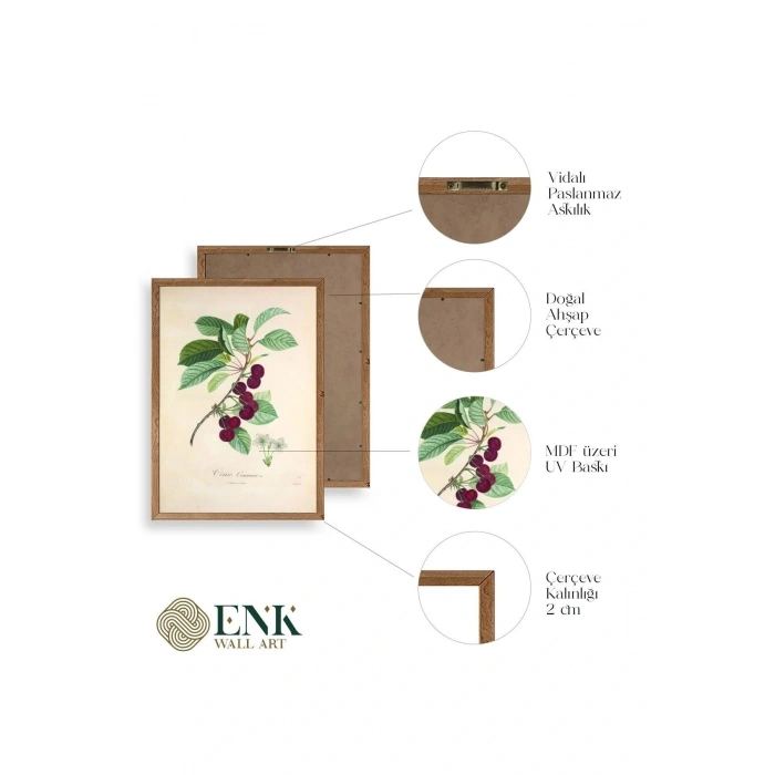 Meyveler Ahşap Çerçeveli Tablo 50 x 70