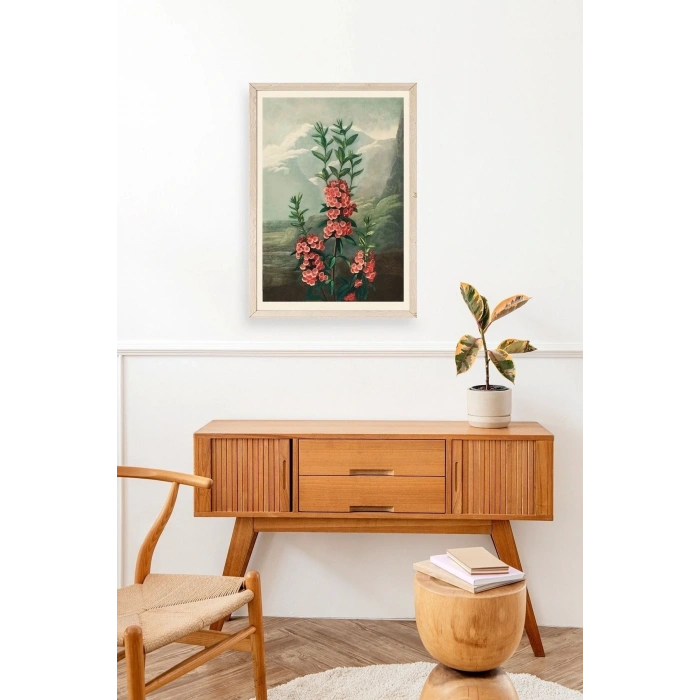 Narrow-Leaved Kalmia Ahşap Çerçeveli Tablo 17 x 23