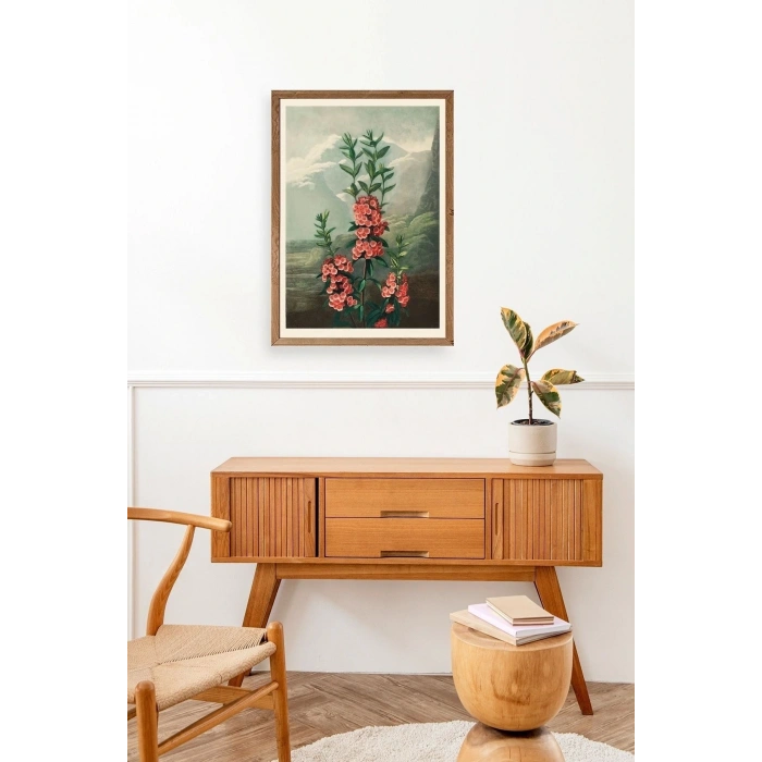 Narrow-Leaved Kalmia Ahşap Çerçeveli Tablo 17 x 23