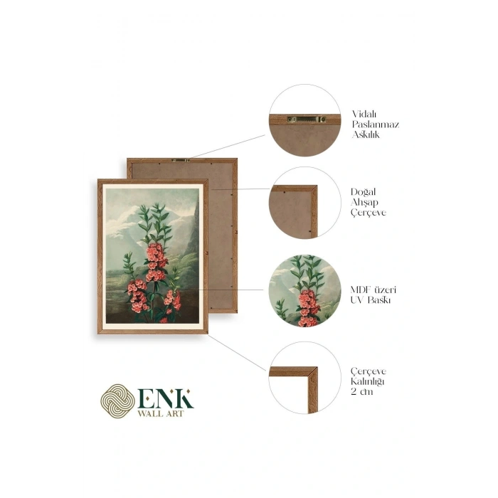 Narrow-Leaved Kalmia Ahşap Çerçeveli Tablo 50 x 70