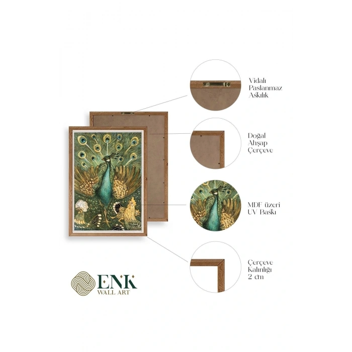 Nouveau Vintage Peacock Ahşap Çerçeveli Tablo 17 x 23