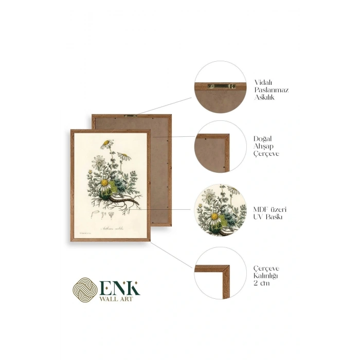 Papatya Ahşap Çerçeveli Tablo 50 x 70