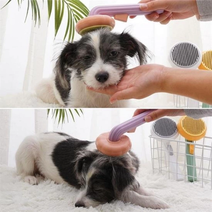 Plastik Yeşil Evcil Hayvan Bakım  Pet Fırçası Çok Amaçlı Pet Fırçası Yeşil (5365)