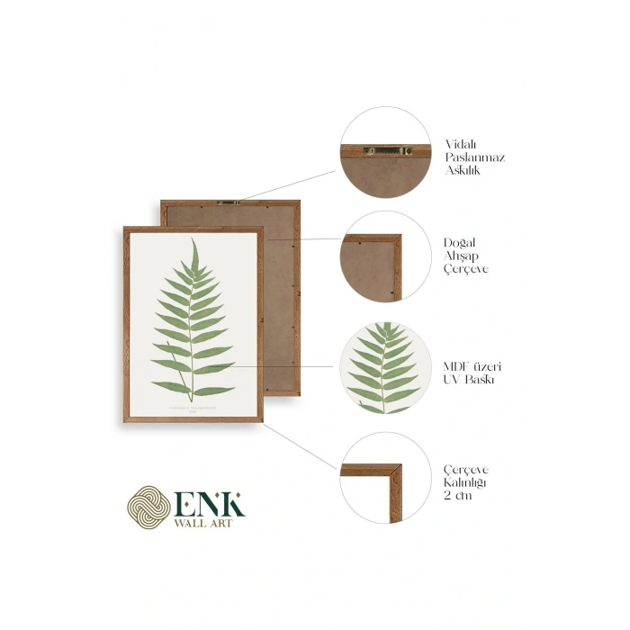 Polypodium Franxinifolium Ahşap Çerçeveli Tablo 23 x 30