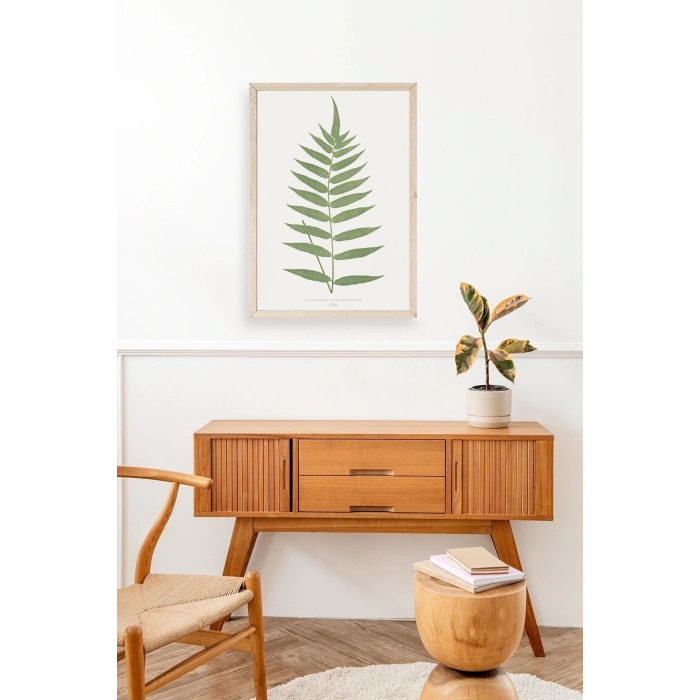Polypodium Franxinifolium Ahşap Çerçeveli Tablo 30 x 42