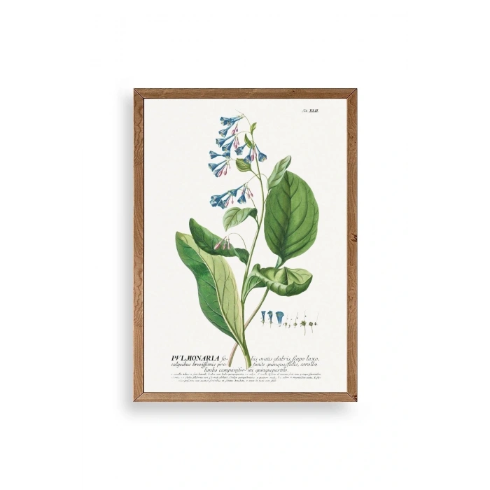 Pvlmonarla Ahşap Çerçeveli Tablo 17 x 23