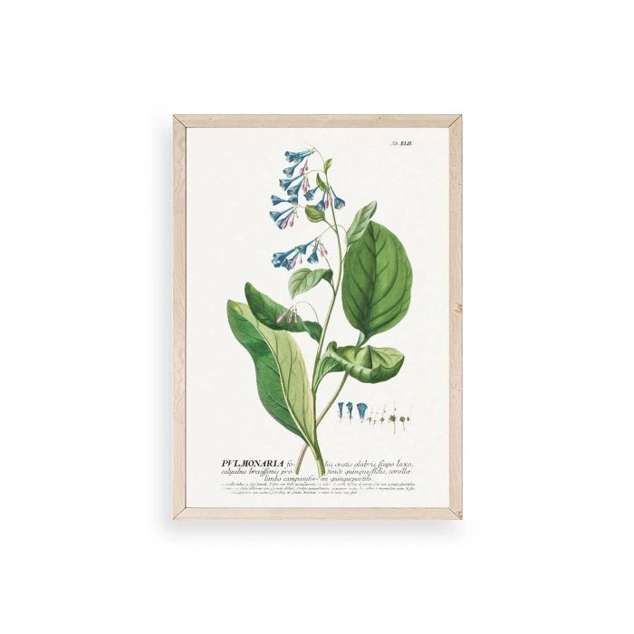 Pvlmonarla Ahşap Çerçeveli Tablo 50 x 70