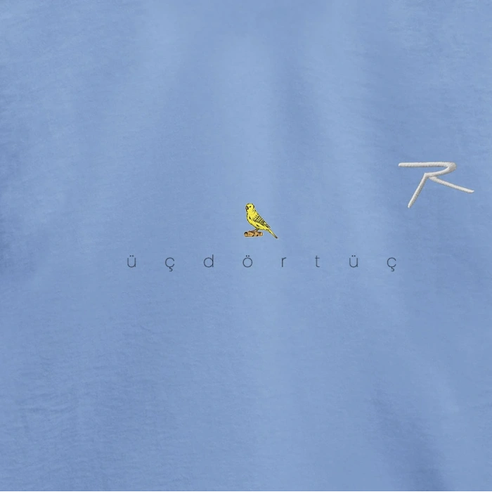 Raru x 343 DIGITAL %100 Pamuk T-Shirt AGNITIO MAVİ