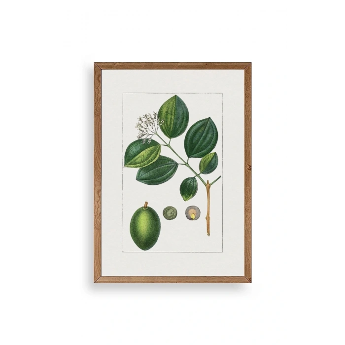 Rosalind Wheeler Ahşap Çerçeveli Tablo 17 x 23