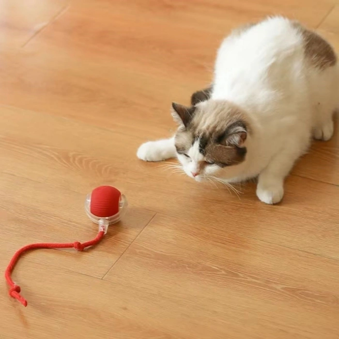 Şarjlı Otomatik Hareketli Kedi Köpek İçin 360 Derece Dönen İnteraktif Akıllı Oyun Topu (5365)