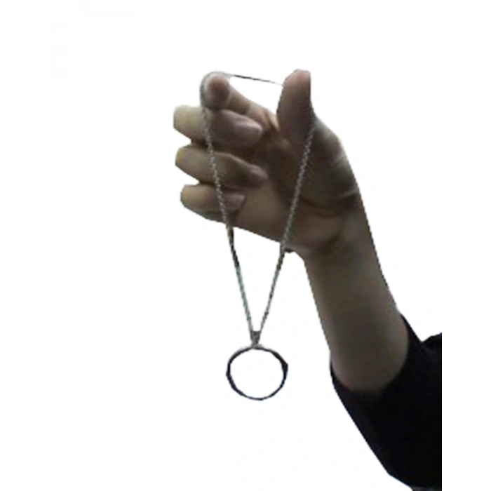 Magic Ring Illusion Game