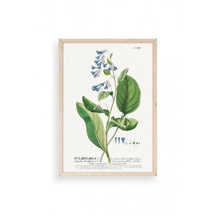 Stupell Ahşap Çerçeveli Tablo 23 x 30