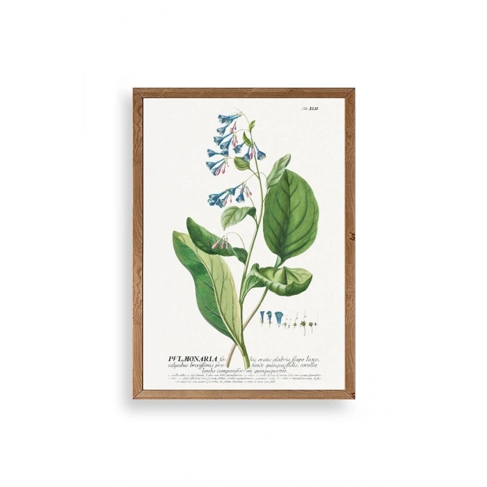 Stupell Ahşap Çerçeveli Tablo 50 x 70