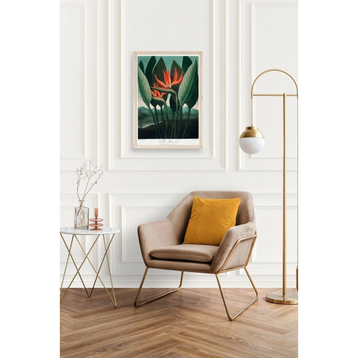 The Queen Plant Ahşap Çerçeveli Tablo 23 x 30